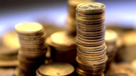 ONG-urile vor garantii de stat la credite pentru proiecte UE