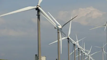 Iberdrola a primit licenta de la Transelectrica si va dezvolta parcuri eoliene de 1.580 MW