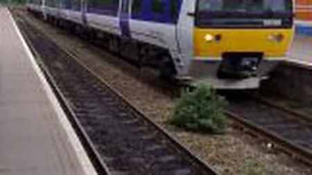 CFR Calatori introduce un tren suplimentar catre Istanbul, din cauza aeroporturilor inchise