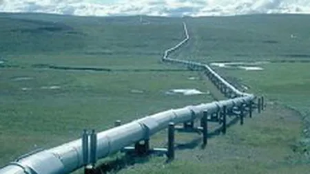 Ministerul Economiei: South Stream ar putea tranzita Romania, traseul nu este inca stabilit