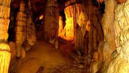 Parlamentul European a interzis folosirea cianurilor in minerit