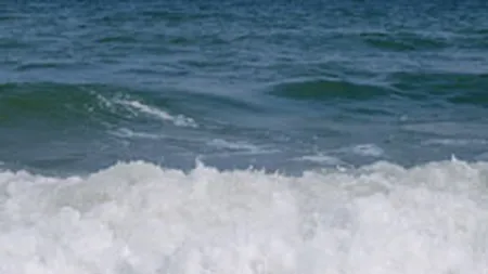 Circa 850 de turisti se afla pe litoral prin programul \O saptamana la mare\