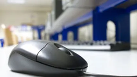 Statul ar pierde de 12 ori mai mult decat ar castiga din impozitarea veniturilor din IT