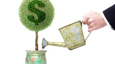 Cine sunt \'\'baietii destepti\'\': 10 dintre cele mai profitabile afaceri cu statul