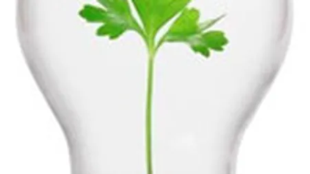 Valoarea pietei de CSR din Romania ar putea scadea cu pana la 30% in 2010