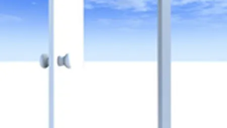 Cum a manipulat guvernul presa economica: Convinge-ma cu usa!