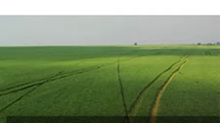 Nemtii de la Aton Transilvania angajeaza din mai 10 agenti de vanzari