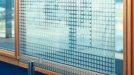 Francezii de la Saint-Gobain investesc 6 mil. euro intr-o linie noua de productie la Calarasi