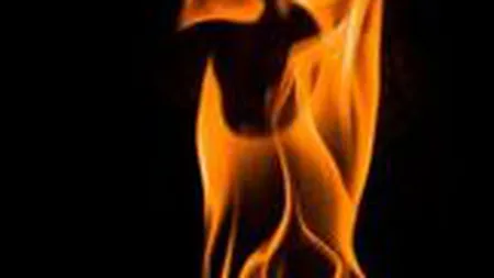 Grupul Sigura: Afaceri in scadere cu 27% in 2009, din solutii anti-incendiu