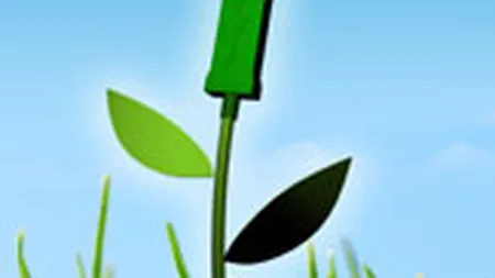 Studiu ITU: Unul din patru oameni folosesc Internetul, la nivel global