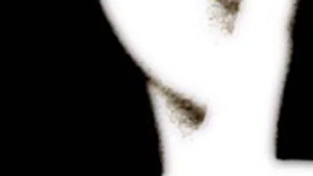 Ocupati cu propaganda, ministrii uita sa scrie pe site pe ce cheltuiesc banii si cati angajati au. Vezi topul celor mai secretoase ministere