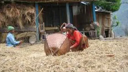 Cum a ajuns multimilionar un nepalez sarac