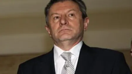 Berceanu: Un efect al caderii Guvernului ar putea fi cresterea inflatiei