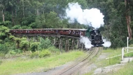 10 state de talie medie, noile locomotive ale economiei globale pentru iesirea din criza