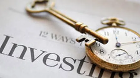 Masurile de combatere a crizei financiare au perturbat investitiile