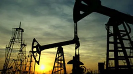 Administratia Petromin catre actionariat: \Reducem capitalul social sau ne dizolvam\