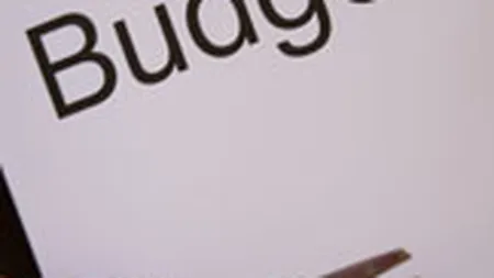 Directorii firmelor de stat, obligati sa prezinte bugete revizuite in maxim doua saptamani