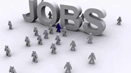 Balaur.ro: Numarul job-urilor in strainatate a crescut cu 20% in iunie