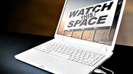 Online-ul ca un puzzle: Cum arata principalele piese care compun peisajul publicitatii pe Internet