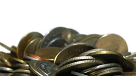 BNR: Reducerea rezervei valutare pentru alimentarea bugetului incalca statutul BNR si Constitutia