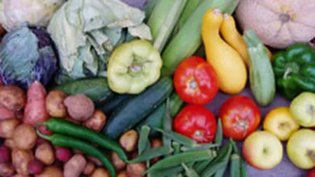 MADR propune subventionarea cu 45% a dobanzilor la creditele pentru producatorii agricoli