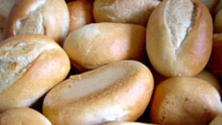 MADR: Painea nu se va scumpi chiar daca precipitatiile au afectat 15-20% din culturile de grau