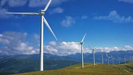 Renovatio a cumparat firma constanteana Eoliene SRL