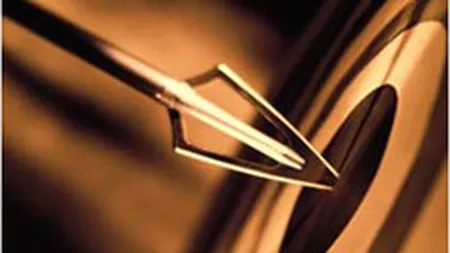 Ce proprietati adulmeca cumparatorii de proiecte imobiliare? In primul rand se iau dupa \mirosul durerii\