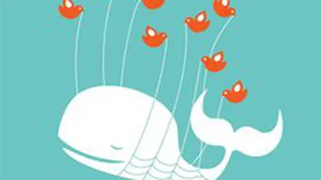 Twitter a inregistrat sambata noapte mesajul cu numarul 20 mld. Cat de repede a crescut reteaua sociala?