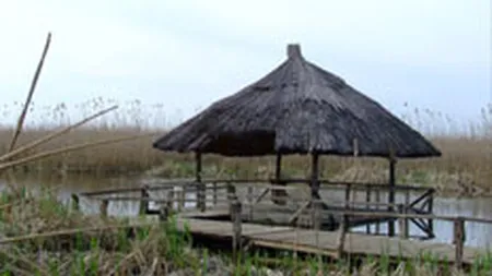 Traseele turistice ecumenice, lansate duminica de MDRT si RATB, au fost folosite de 124 de persoane