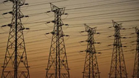 Videanu se declara adeptul mentinerii monopolului de stat in transportul energiei electrice