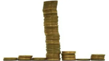 Oferta de obligatiuni de 64 mil. lei a municipiului Zalau a inceput joi