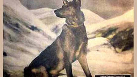 Filmele mute ale lui Hitchcock vor fi restaurate si digitalizate, cu 1,2 mil. euro