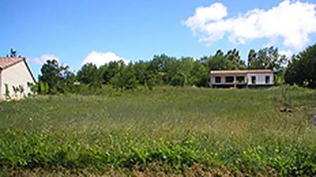 Ce asteapta \vulturii\ care pandesc imobilele firmelor falimentare: sa cumpere la jumatate de pret