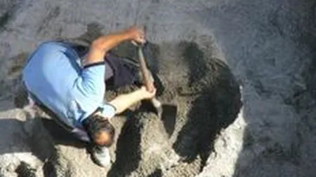 Dorel de Bulgaria: Trei vanzatori de fier vechi au taiat un cablu de fibra optica ce lega Germania de Asia