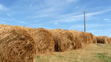 Rusia: Pierderile provocate de seceta in agricultura, estimate la 1,07 mld.$