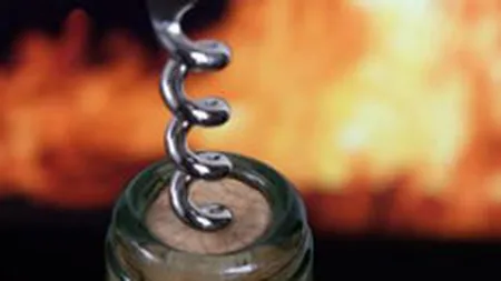 Patronatul Vinului: Deciziile Guvernului vor distruge toate business-urile romanesti