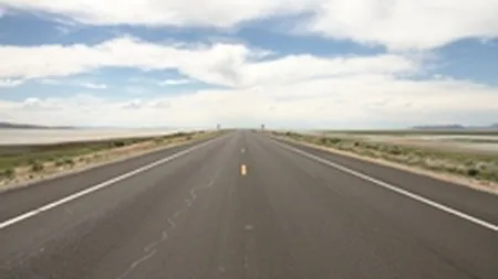 Doi directori din Compania de Drumuri au demisionat, dupa numirea Ancai Boagiu la Transporturi