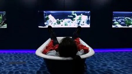 Cum arata birourile Google si Facebook. Vezi FOTO