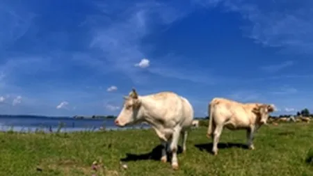 Romanii pot cumpara pachete turistice la preturi reduse prin programul \Vacante la tara\