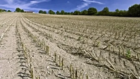 INS incepe in decembrie colectarea datelor pentru recensamantul agricol