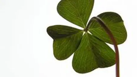 4 secrete ale oamenilor norocosi