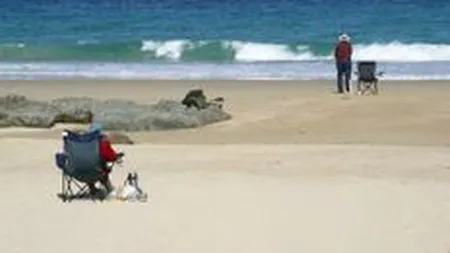 Popescu, Aviva: Romanii trebuie sa economiseasca anual 3.700 euro pentru a trai decent la pensie