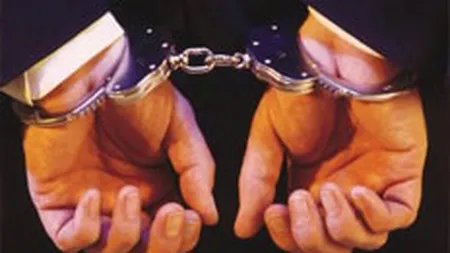 Un roman este suspectat ca a fraudat compania eBay cu 3 milioane de dolari