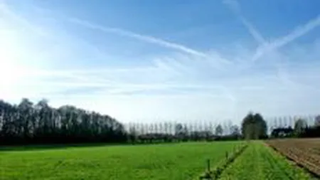 Colliers: Preturile terenurilor au revenit la nivelul din 2005 - 2006