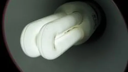 Director Transelectrica: Consumul de energie va stagna, cel mai probabil, in 2011