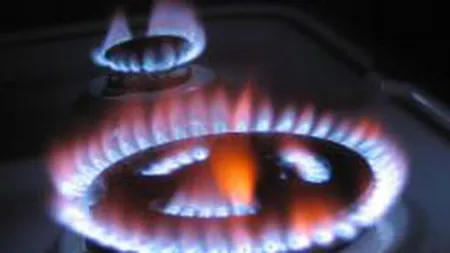 E.ON: Pretul gazelor este tinut jos \artificial\. Romania nu este atractiva pentru investitori