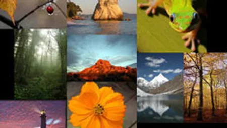 Google a pus gand rau JPEG-ului: Vrea sa-l inlocuiasca cu un format mai \suplu\