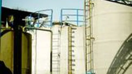 Romania si Bulgaria ar putea fi afectate de accidentul chimic din vestul Ungariei