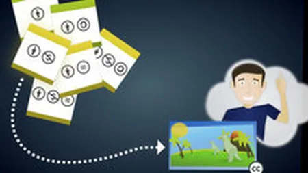 Cele mai interesante site-uri pe care poti publica fotografii. Vezi parerile Google si ale managerilor locali